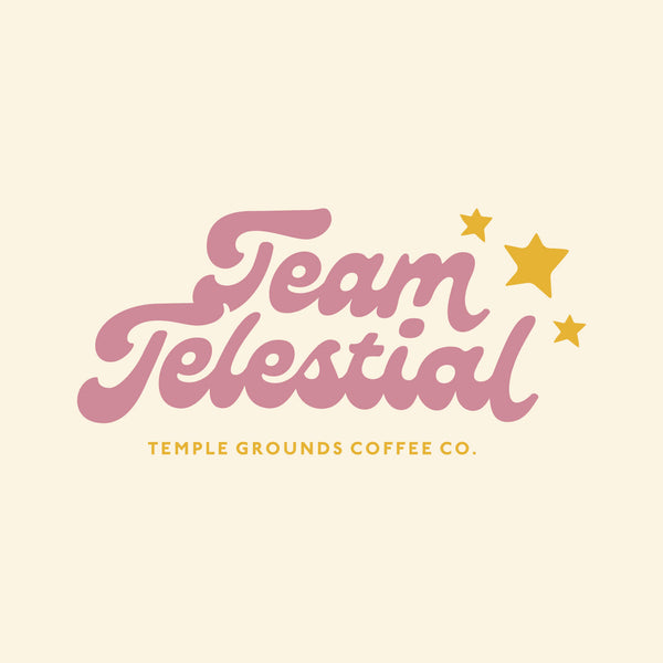 Team Telestial Heavyweight Adult Tee - Women's